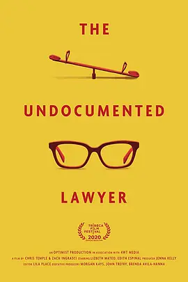 The Undocumented Lawyer封面图