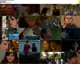 奔向爱情封面图