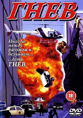 摩天威龙封面图