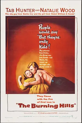 血山情焰封面图