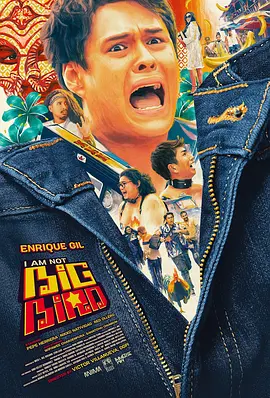 I Am Not Big Bird封面图