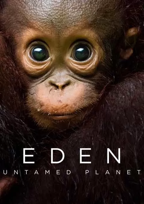 伊甸园：最后的秘境封面图