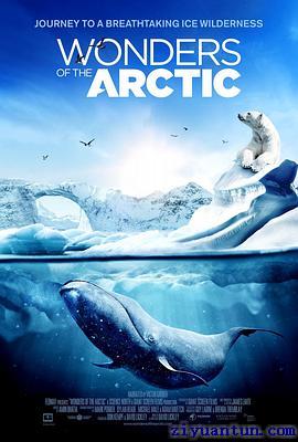 北极奇观封面图