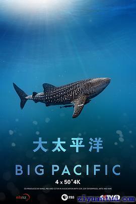 大太平洋封面图