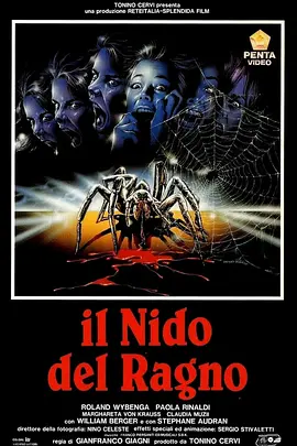 蜘蛛迷宫封面图