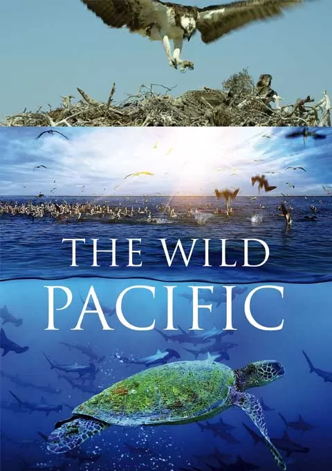 狂野太平洋封面图