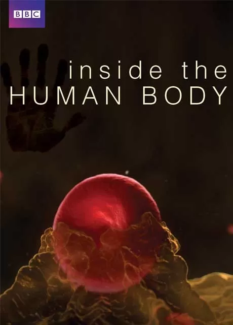 人体奥秘封面图