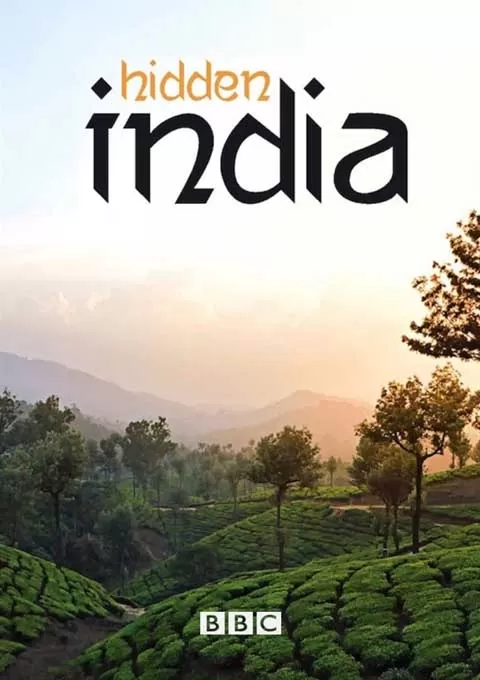 隐秘的印度封面图