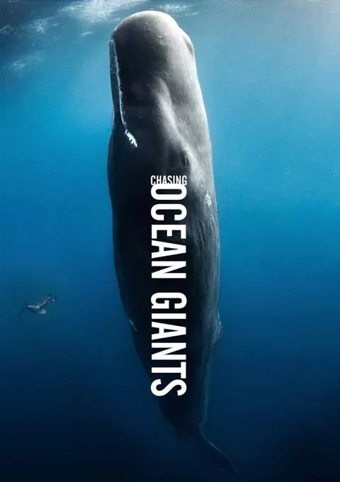 追踪海洋巨兽封面图