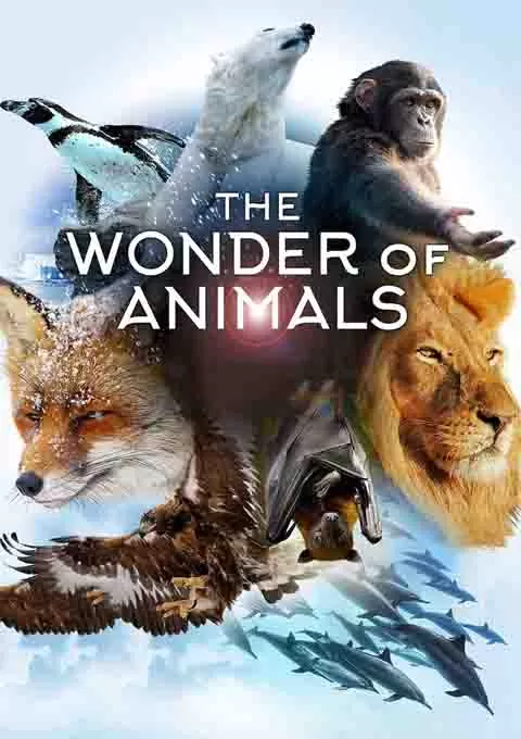 神奇动物大揭秘封面图