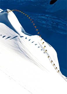 飞翔的艺术封面图