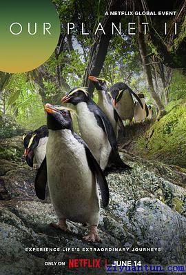 我们的星球 第二季封面图