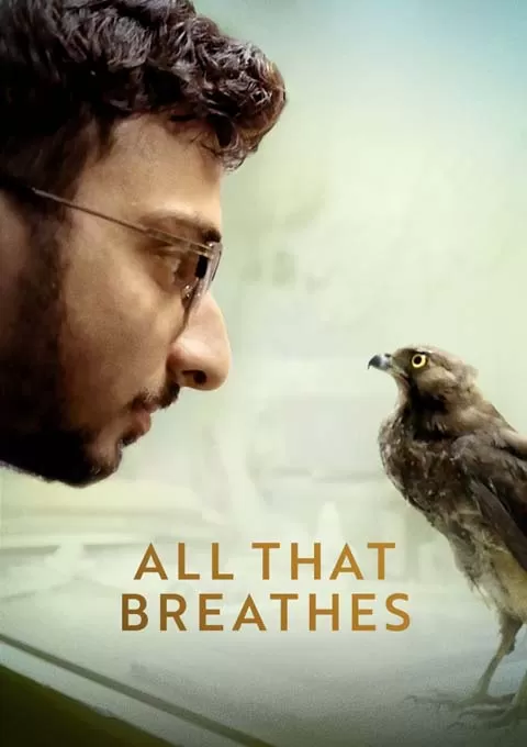 生生相息封面图