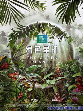 绿色星球封面图