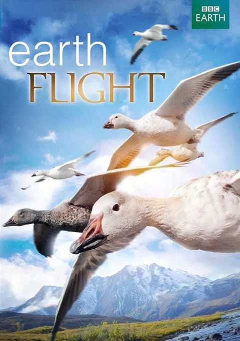 鸟瞰地球封面图