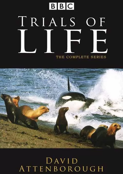 生命之源封面图