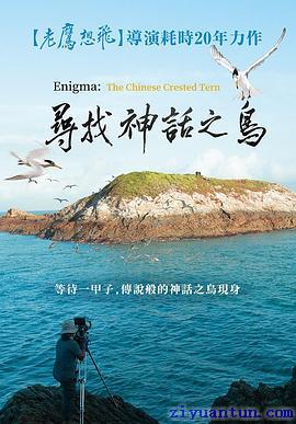 寻找神话之鸟封面图