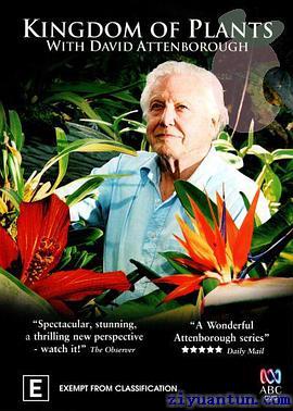 植物王国封面图