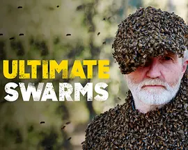 群居动物的疯狂世界封面图