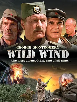 狂放的风封面图