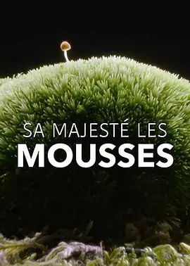 Sa Majesté les mousses封面图
