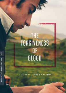 血腥的宽恕封面图