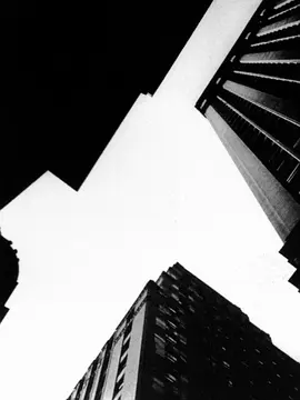 高楼交响曲封面图