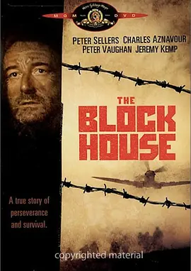 历劫人间封面图