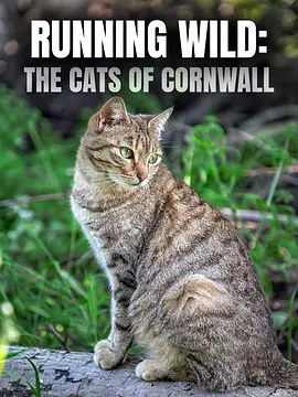 Running Wild: The Cats of Cornwall封面图