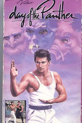 Day of the Panther封面图