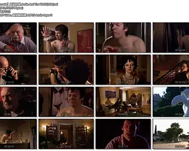 奥迪和狼封面图