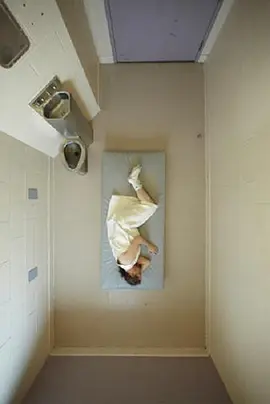 没有刑责的罪犯封面图