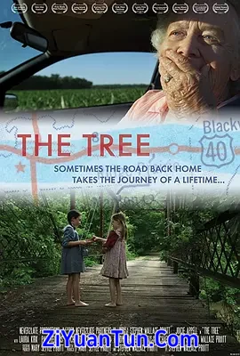 The Tree封面图