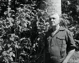 阿皮普库斯的大师封面图