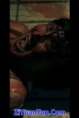 iron wolf封面图