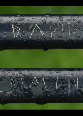 《放大》的放大封面图