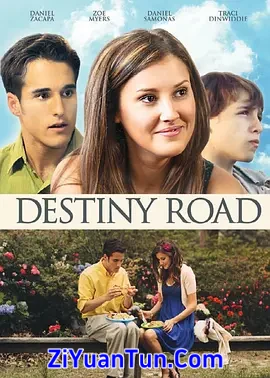 Destiny Road封面图