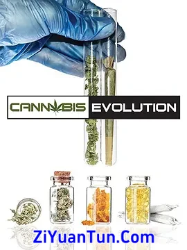 Cannabis Evolution封面图