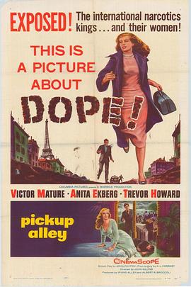 国际特警队封面图