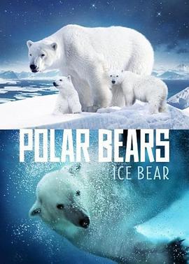 北极熊冰熊封面图