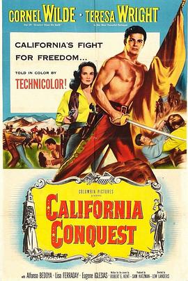 铁血丹心封面图