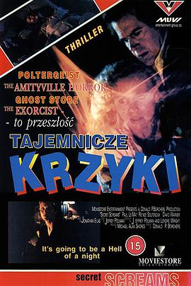 严重的秘密封面图