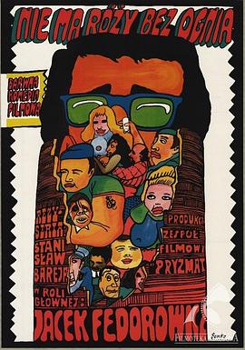 朵朵玫瑰皆似火封面图