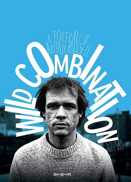Wild Combination: A Portrait of Arthur Russell封面图