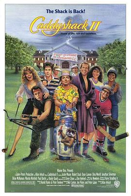 疯狂高尔夫2封面图