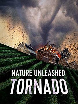 Nature Unleashed: Tornado封面图