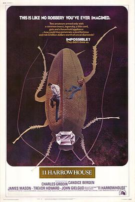 龙凤神偷封面图