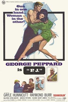 流氓保镖封面图