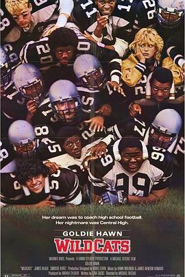 小野猫吃大老虎封面图