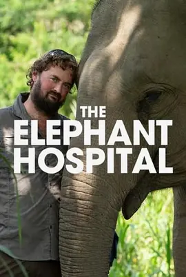 Elephant Hospital Season 1封面图